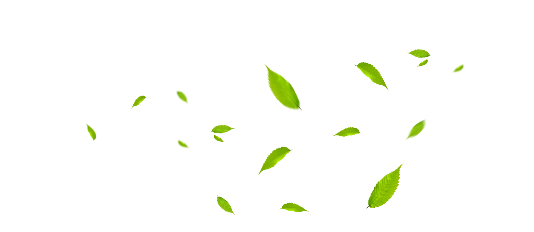 wind